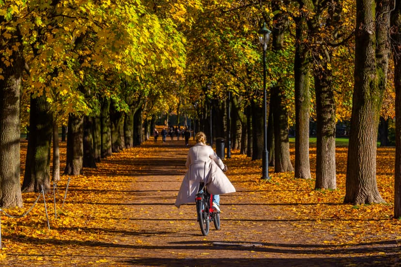 Bildebibliotek for området 2